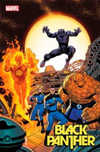 Load image into Gallery viewer, BLACK PANTHER #13
