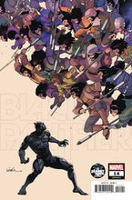 Load image into Gallery viewer, BLACK PANTHER #14
