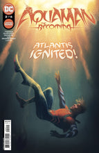 Load image into Gallery viewer, AQUAMAN THE BECOMING #2(OF 6)
