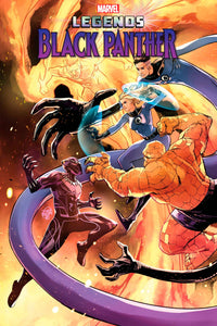 BLACK PANTHER LEGENDS #4 (OF 4)