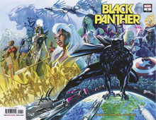 Load image into Gallery viewer, BLACK PANTHER #1
