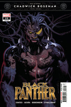 Load image into Gallery viewer, BLACK PANTHER #23
