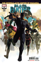 Load image into Gallery viewer, BLACK PANTHER #24
