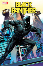 Load image into Gallery viewer, BLACK PANTHER #5
