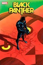 Load image into Gallery viewer, BLACK PANTHER #5
