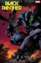 Load image into Gallery viewer, BLACK PANTHER #6
