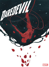 Load image into Gallery viewer, DAREDEVIL #1
